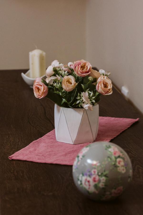 Vively Lux Apartment 수보티차 외부 사진